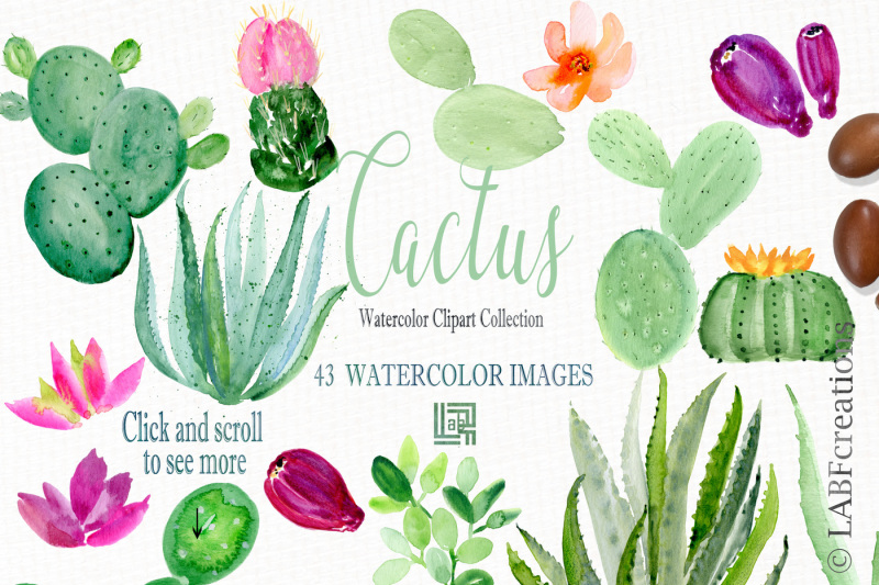 cactus-watercolor-clipart-collection-watercolour-cactuses-and-aloe-ve