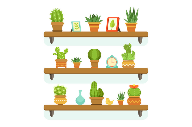 cactuses-in-pots-stand-on-the-shelves