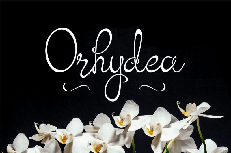 orhydea