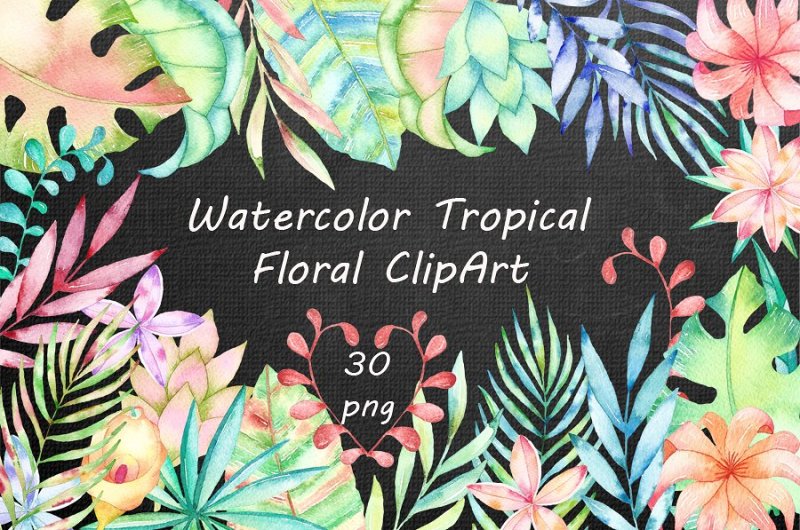 watercolor-tropical-floral-clipart
