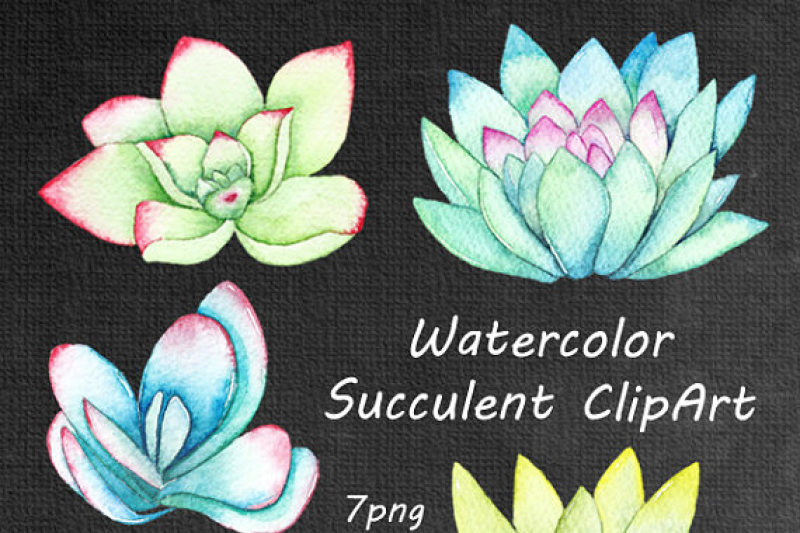 watercolor-succulent-clipart