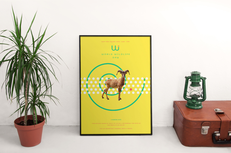 design-templates-bundle-flyer-banner-branding-world-wildlife-day