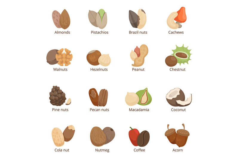 vector-illustration-of-different-nuts
