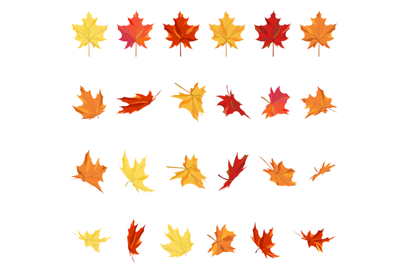 maple-leaves-set