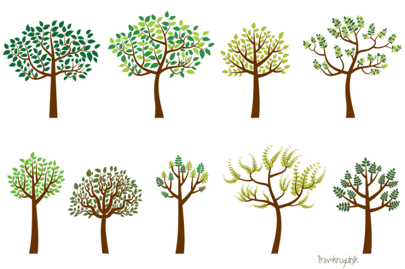 green-tree-clipart-leaf-trees-clip-art-set-wedding-summer-family-tree
