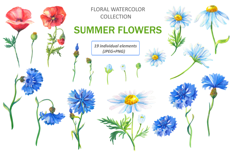 summer-flower