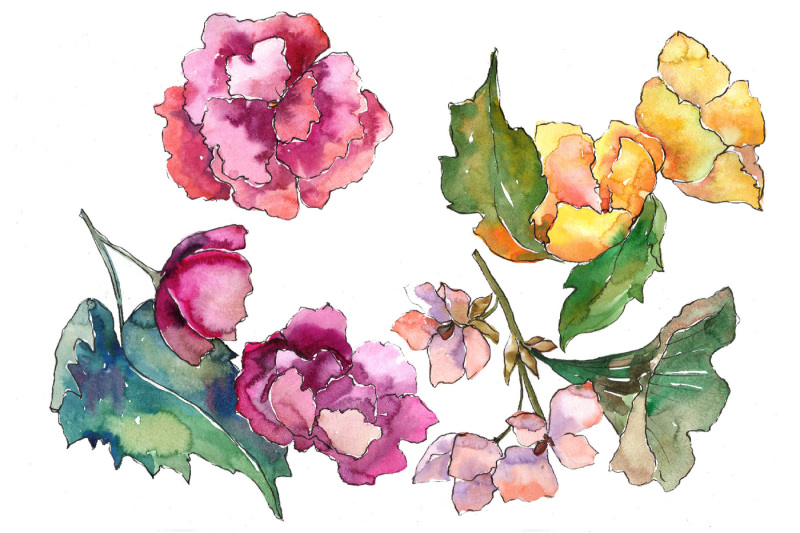 gardenia-colorful-flower-png-watercolor-set