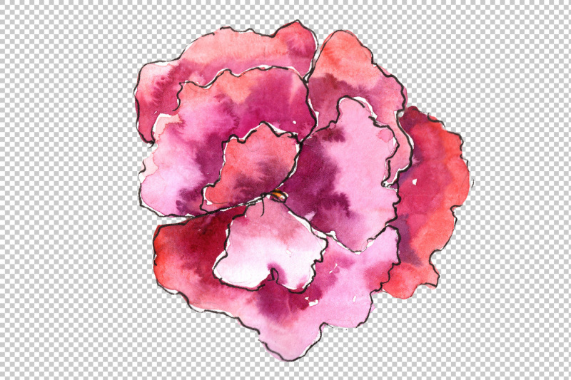 gardenia-colorful-flower-png-watercolor-set