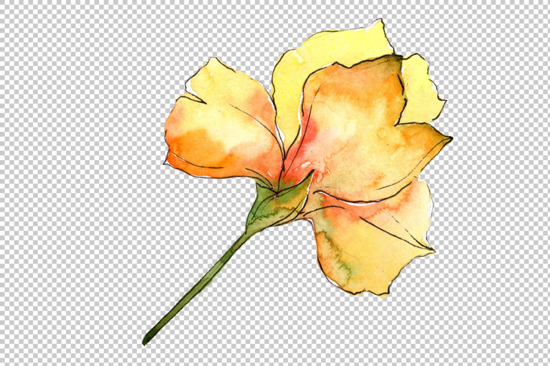 yellow-alstroemeria-flower-png-watercolor-set