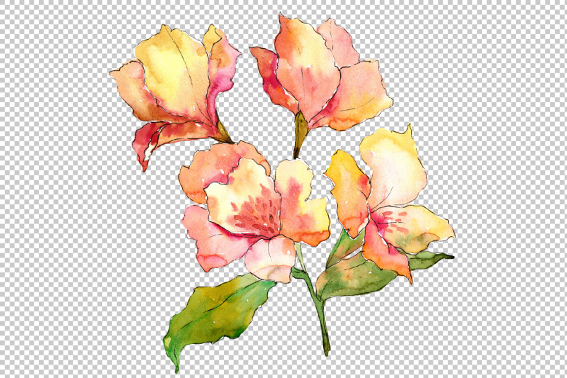 yellow-alstroemeria-flower-png-watercolor-set