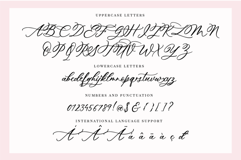 hey-darling-calligraphy-script-font