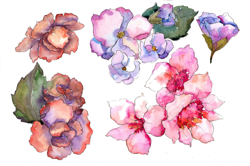 pink-flower-gardenia-png-watercolor-set