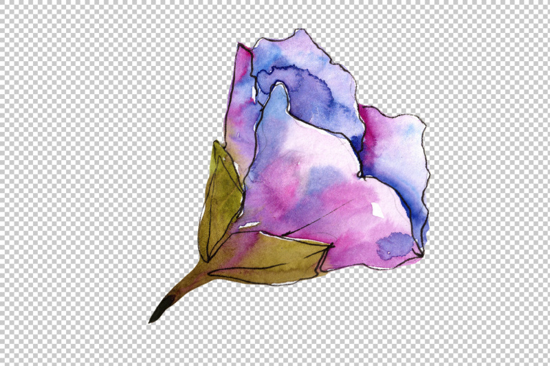 pink-flower-gardenia-png-watercolor-set