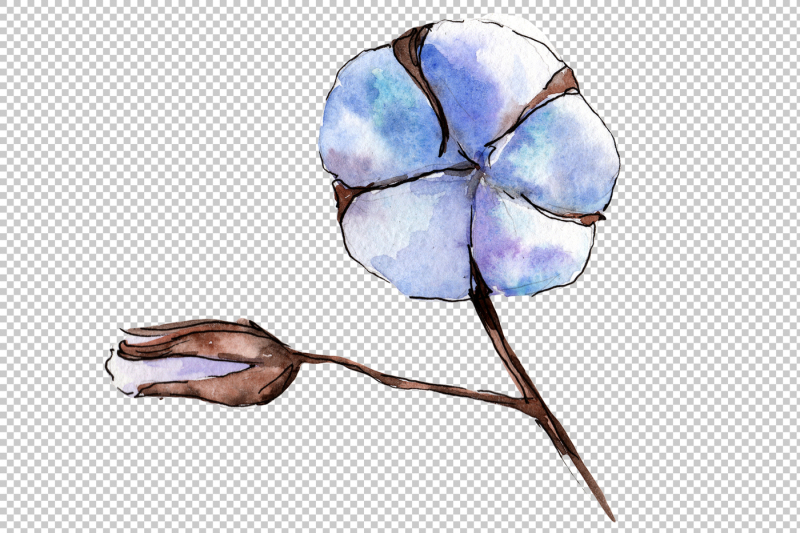 flower-soft-cotton-png-watercolor-set