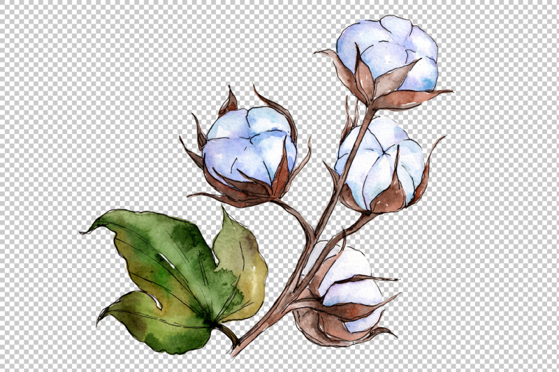 flower-soft-cotton-png-watercolor-set