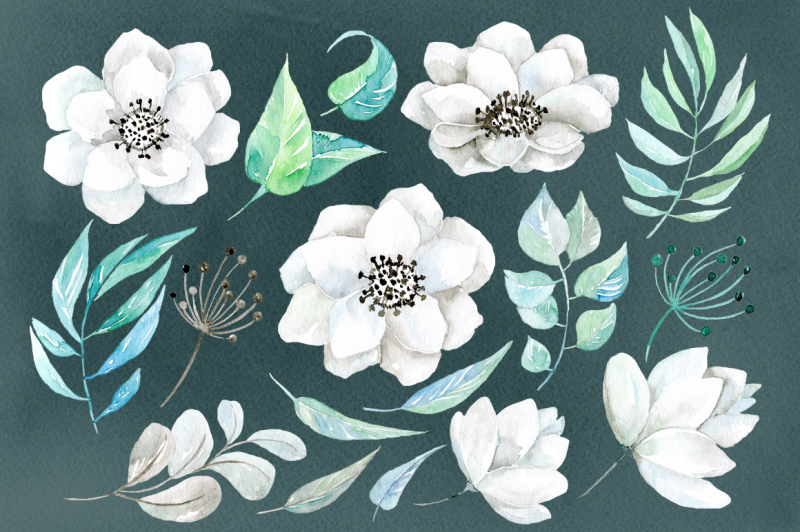 Watercolor white flowers 38 png By WatercolorFlowers | TheHungryJPEG.com