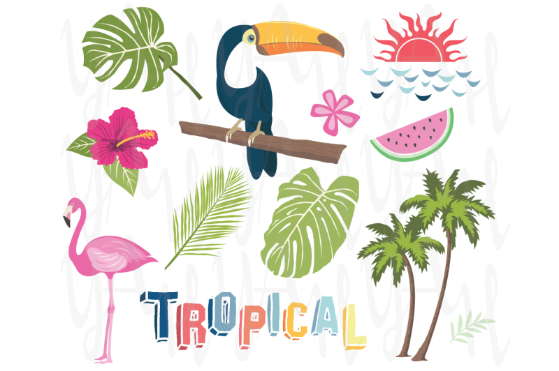 tropical-vector-collection
