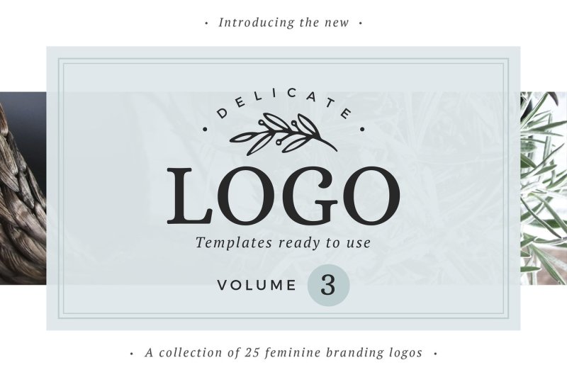 25-delicate-feminine-logos-vol-3