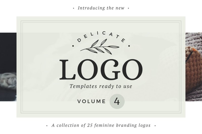 25-delicate-feminine-logos-vol-4