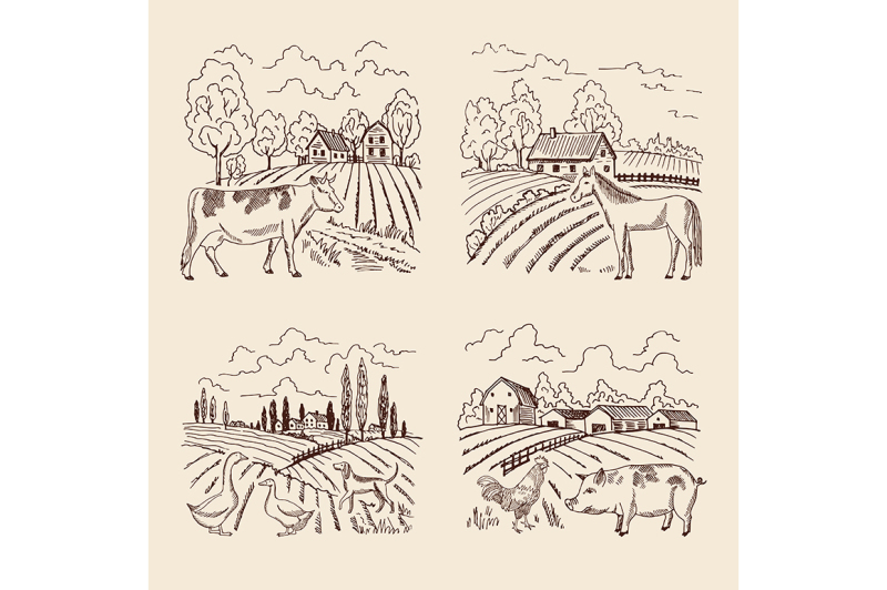 vector-village-and-big-field-landscape-with-farming-and-animals