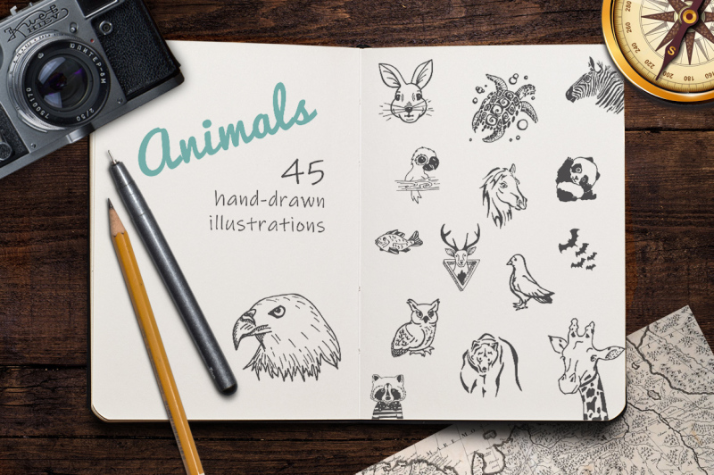 hand-drawn-illustrations-animals