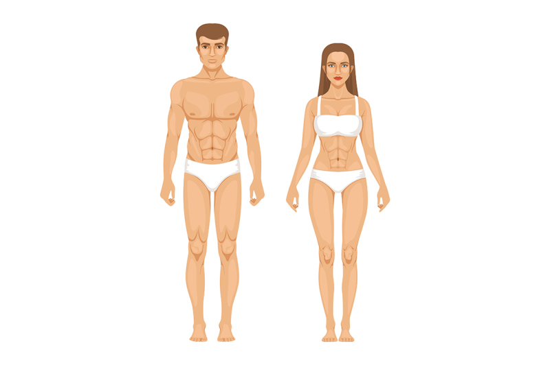 woman-body-parts-human-anatomy-vector-illustrations-isolate-on-white