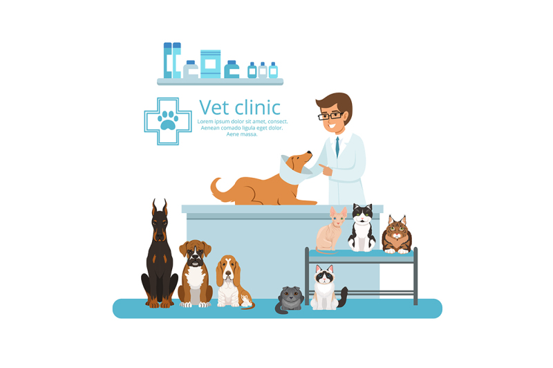 animals-in-cabinet-of-vet-hospital