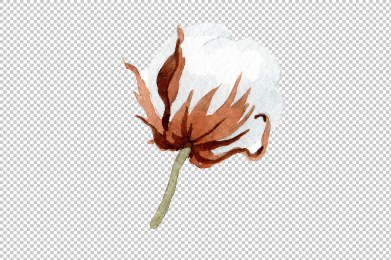cotton-soft-flower-png-watercolor-set