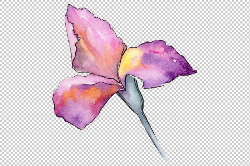 gently-purple-irises-png-watercolor-set