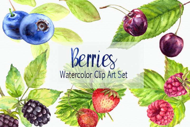 watercolor-berries-clip-art-set