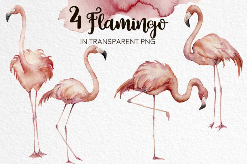 flamingo-watercolor-collection