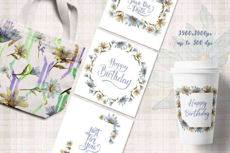 cool-white-chamomile-png-watercolor-set