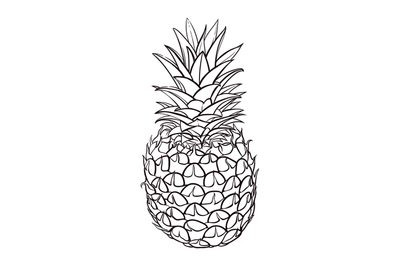 hand-drawn-illustration-of-pineapple