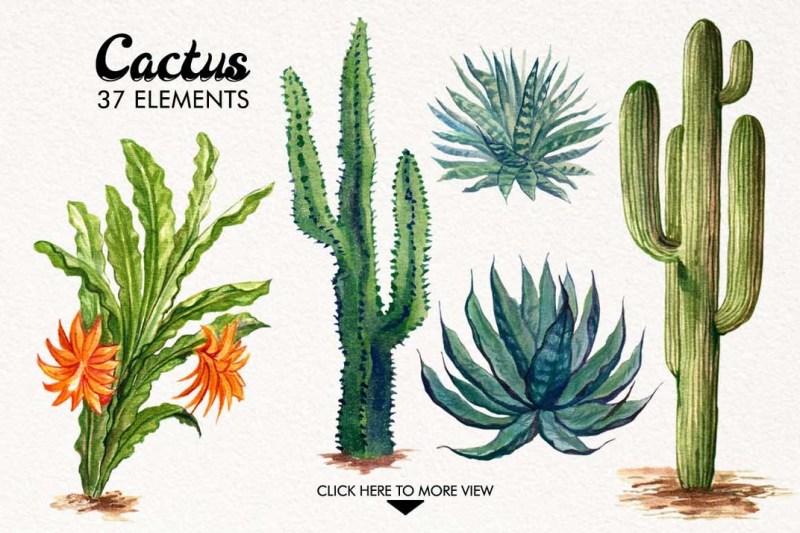 watercolor-cactus