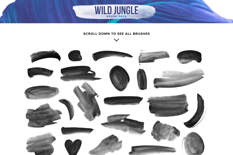 wild-jungle-brush-pack