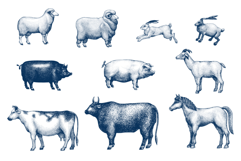 farm-animals-vector-collection