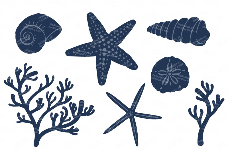 seashore-shells-and-coral-clipart-in-navy-and-blush