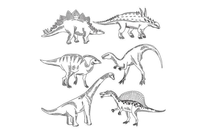 stegosaurus-triceratops-tyrannosaurus-and-other-dinosaur-types