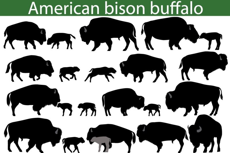american-bison-buffalo-silhouettes