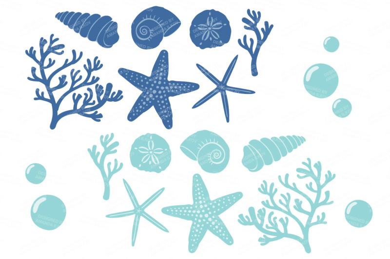 seashore-shells-and-coral-clipart-in-oceana