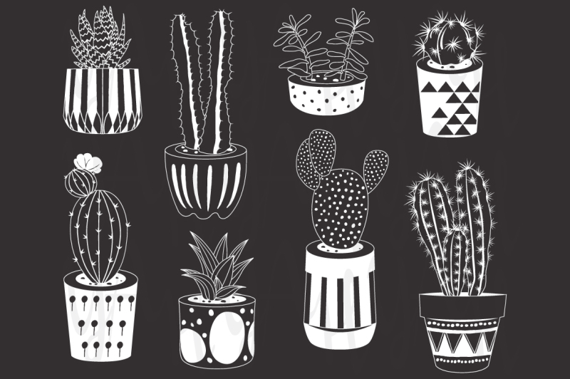 hand-draw-chalkboard-cactuses-potted