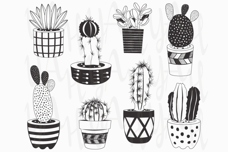 hand-draw-cactuses-collections