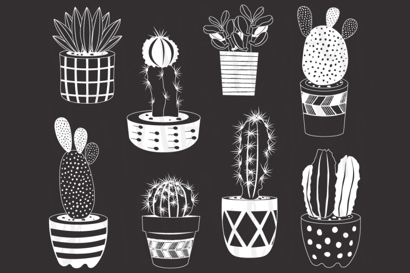 hand-draw-cactuses-collections