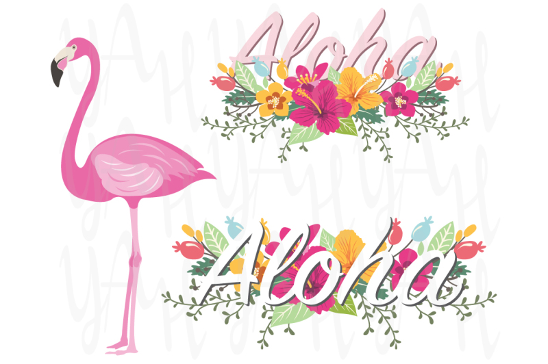 floral-flamingo-collections