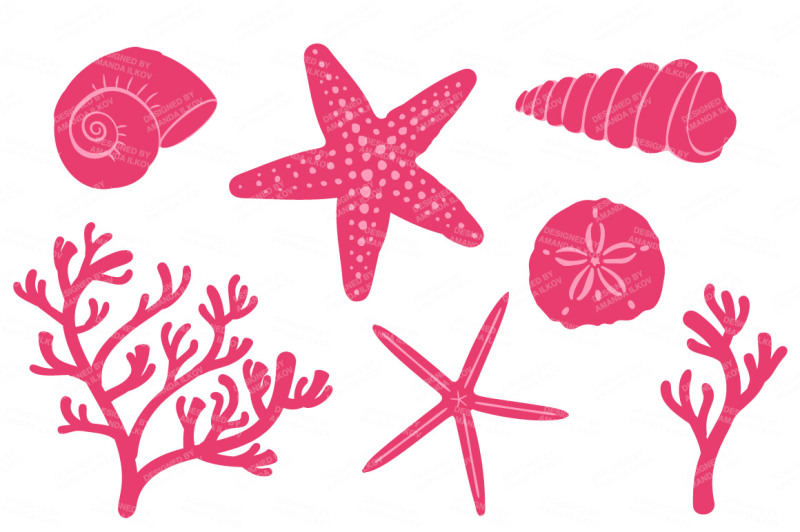 seashore-shells-and-coral-clipart-in-pink