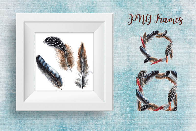 delightful-feathers-png-watercolor-set