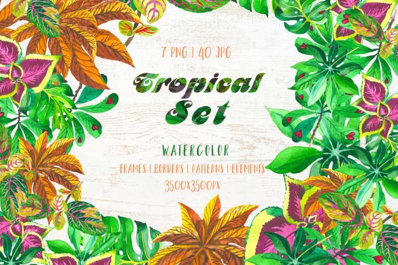 exotic-tropical-set-png-watercolor