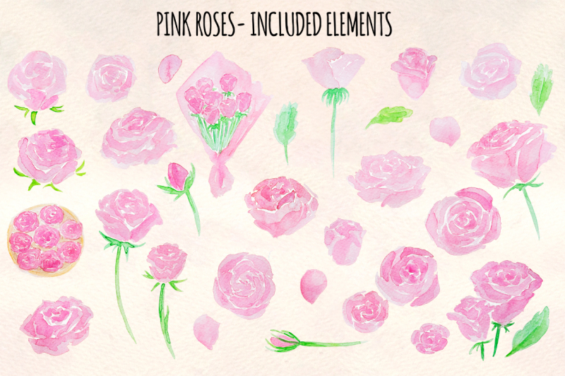 31-pink-roses-watercolor-graphics-vector-kit