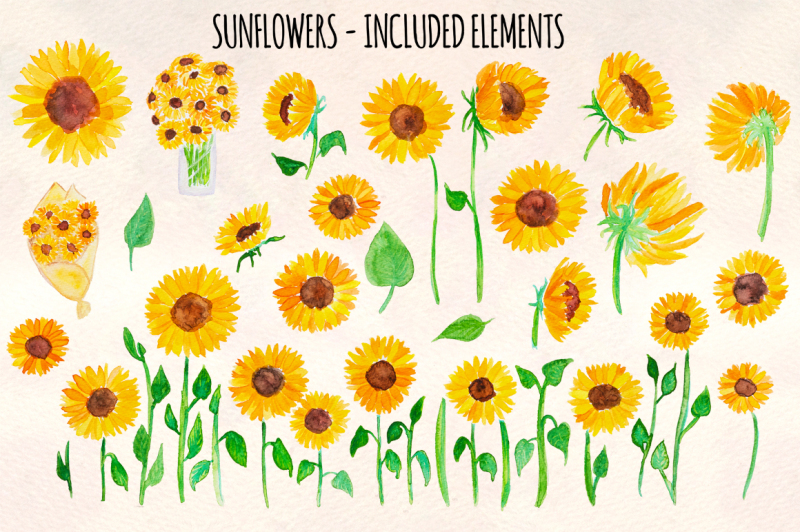 Download Bright Sunflowers 34 Sunny Vector Watercolor Graphics By ...