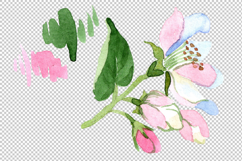 wildflower-apple-blossom-png-watercolor-set